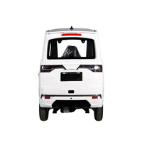 Mini Auto Eléctrico de Cabina con Certificación EEC L6e COC, 2-3 Plazas, con Volante Central y Freno de Disco Hidráulico