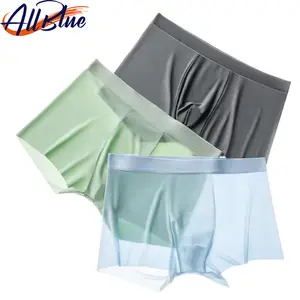 ALLBLUE Slip en soie glacée fine sans couture Cool OEM & ODM Transparent Sous-vêtements sexy pour hommes Vêtements pour hommes Caleçons sans étiquette Boxers