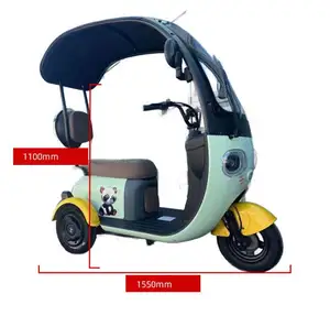 Moteur Cargo Moto Aluminium Rikshaw Auxiliaire Gris Handicapé Pneu De Gasoline Commerce En Inde 250 Vending Tricycle Électrique