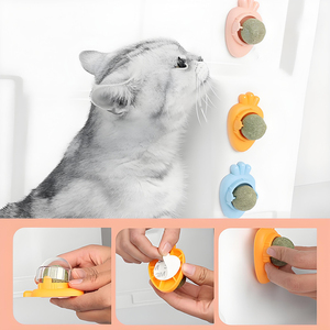 Juguete de bola de menta para gatos de primera calidad, bola para lamer hierba gatera montada en la pared para gatos de interior, juguete interactivo duradero, suministro al por mayor/ - Product Image 5