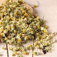 OEM/ODM de thé de haute qualité en gros de fleur de camomille pour la boisson