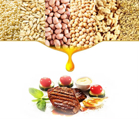 Presse à huile à vis commerciale automatique 10-12T/24H pour graines de tournesol Olive Soja Coffee Bean Mustard Pressing Sesame P130