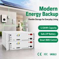 Système de batterie solaire 5,12 kWh 5 kWh 51,2 V 100 Ah LiFePO4 6000 cycles, stockage d'énergie photovoltaïque mural CAN, garantie 5 ans pour la maison