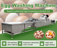 Laveuse et trieuse d'œufs en acier inoxydable pour volailles, canards, poulets, machine de lavage et de tri des coquilles d'œufs