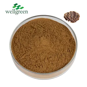 Organic Herbal Extract Turkey Tail Extract Powder Coriolus Versicolor Powder Mushroom Extract