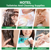 Kit de toilette miniature certifié CE pour hôtels, articles de toilette portables, flacon de cosmétiques pour hôtel privé, shampoing, ensemble d'articles de toilette jetables pour hôtel