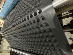 プラスチック製排水板Hdpeディンプル排水シート - Product Image 5