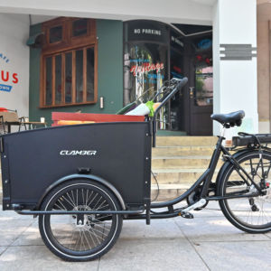 Vélo <span class=keywords><strong>cargo</strong></span> électrique polonais, batterie lithium 36V, tricycle à 3 roues avec porte-bagages arrière pour enfants et marchandises, entrepôt Europe - Product Image 3