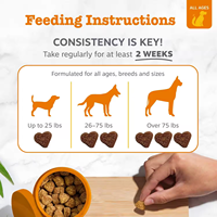 Petop Dog Multivitamin Soft Chews, complément alimentaire pour chien, soutien des articulations et du système immunitaire, santé cardiaque, santé de la peau et du pelage, digestion.