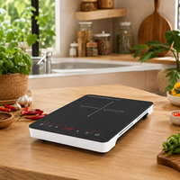 Cuisinière à induction portable OEM ODM 2000W, plaque de cuisson électrique, 8 modes de cuisson pour le marché d'Asie du Sud-Est