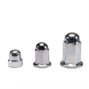 Carbon Steel Stainless Steel Hex Dome Cap Nuts Domed Cap Nuts