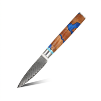 3,5 inch professioneel Damascus staal keukenmes voor groenten en fruit met hars en stabiel houten handvat