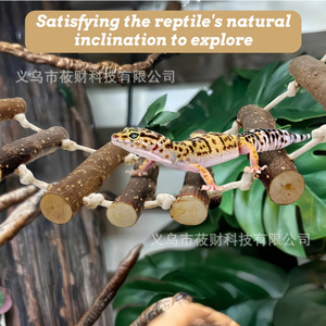 Chaise longue en bois pour reptiles, échelle, jouet d'escalade pour geckos léopards et <span class=keywords><strong>dragons</strong></span> barbus, décoration de terrarium pour animaux exotiques - Product Image 2