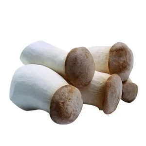 ผงสกัดจากเห็ดธรรมชาติสารสกัดจากเห็ด <span class=keywords><strong>Coprinus</strong></span> <span class=keywords><strong>comatus</strong></span> - Product Image 2