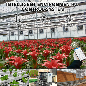 Serres agricoles économiques pour la culture de légumes et de tomates, kit complet de serres - Product Image 4