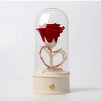 Вечная Золотая розовая роза, настоящая зачарованная Роза ручной работы, искусственный цветок, светодиодная гирлянда, купол, романтические подарки