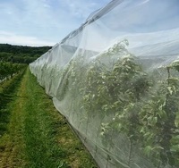 Filet anti-insectes pour jardin, couverture de plantes en maille fine, protection contre les insectes pour les légumes, les fruits et les fleurs