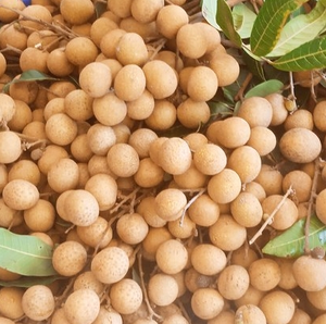 เครื่องปอกผิวสกัดจากลำไยเครื่องมืออัตโนมัติเครื่องปอกเปลือกแกนแกนเมล็ดสกัดจากผลลำไย - Product Image 6