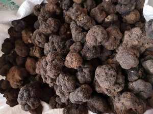 Fungo di tartufo naturale tartufo di funghi neri freschi selvatici cinesi - Product Image 4