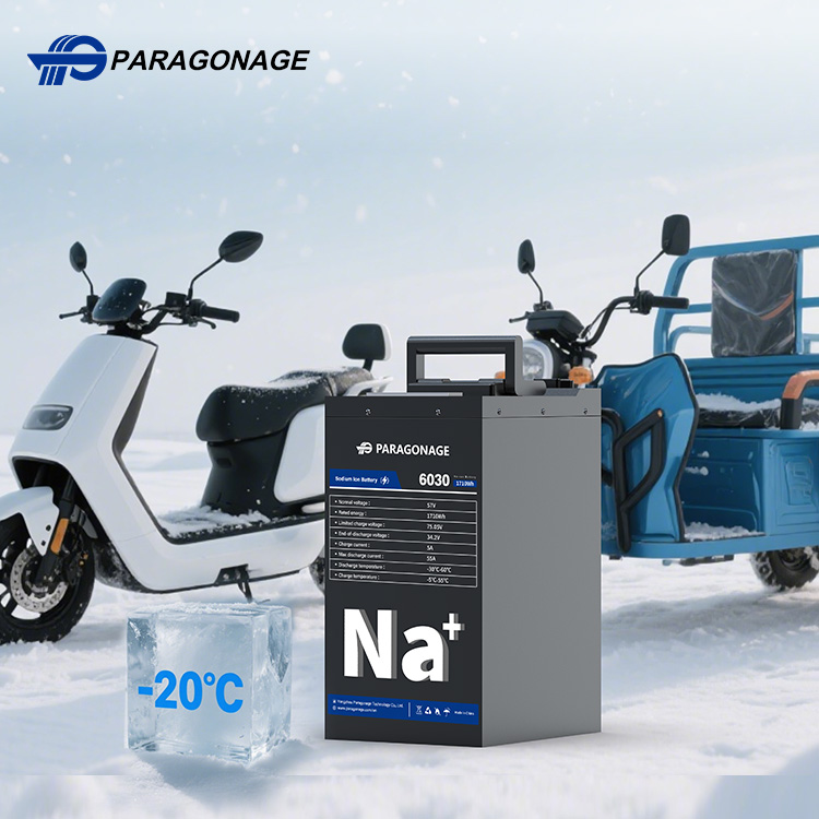 Paragonage Электрический аккумулятор для мотоцикла 45V 60V 20Ah 30Ah натриевый Аккумулятор для мотоцикла