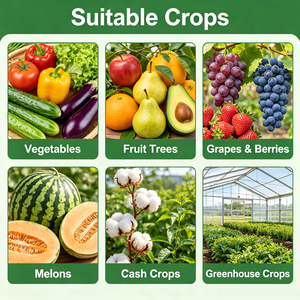 Fertilizante Agrícola Soluble en Agua, Aminoácidos Quelados con Calcio y Zinc, Fertilizante Líquido con Glucano <span class=keywords><strong>para</strong></span> Mejorar la Firmeza de las Frutas - Product Image 3
