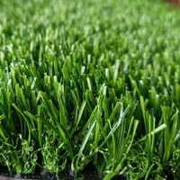 Meisen Niedriger Preis Kunstrasen 25mm 30mm für Kinderspiel platz Outdoor Green Garden Patio Dach Landschaften Bunter Gras Teppich