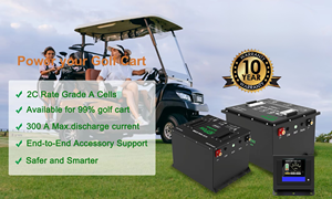 โรงงานผลิตแบตเตอรี่ลิเธียมสำหรับรถกอล์ฟแบบ OEM ODM 36V 48V 51.2v 60v 72V 96v 100ah 160ah 200ah ชุดแบตเตอรี่สำหรับรถกอล์ฟ - Product Image 2