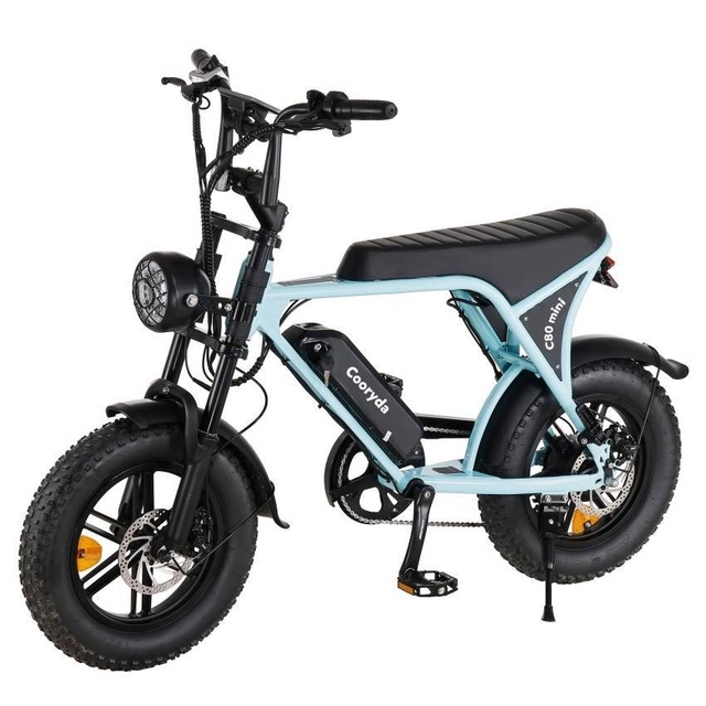 For C8 Mini 16inch Electric Motorcycle Front Hub Motor Fat Tires Snow Variable Speed Assist Beach Lithium Battery Vehicle