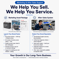 Batterie LiFePO4 à décharge profonde 36V 60Ah 100Ah 200Ah pour bateaux, marque privée, avec documents UN38.3 et FDS complets pour les propriétaires de marques