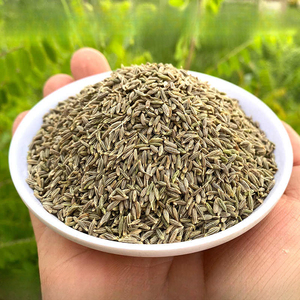 Fournisseurs chinois sélectionnés graines <span class=keywords><strong>de</strong></span> cumin Source usine <span class=keywords><strong>Grains</strong></span> dodus prix <span class=keywords><strong>de</strong></span> gros - Product Image 2