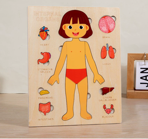 Jeu éducatif écologique en bois Montessori sur la structure du corps humain pour enfants, garçons et filles - Product Image 2