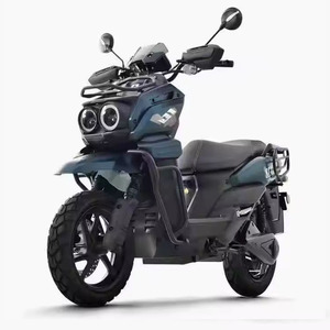 Moto chinoise puissante de 3000W/2000W en acier à haute teneur en carbone - Product Image 6
