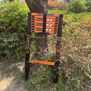 Échelle télescopique en fer à prix avantageux de 3,9 m, échelle industrielle, rétractable en un clic, gain de place, capacité de charge de 150 kg - Product Image 2