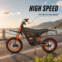 Motocicleta Eléctrica Todoterreno de 3KW, Estilo Stark Vark, 48V, 44-55km/h, Alto Torque, para Adultos, Suministro de Fábrica
