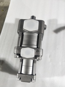 Pompe à engrenages interne hydraulique série SUMI TOMO QT Modèle QT2222/QT3222/QT3223/QT4123/QT4133/QT4222/QT4223/QT4232/QT4233/QT4322 - Product Image 4
