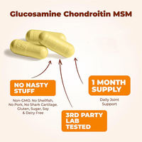 Planet Whale Glucosamine Chondroïtine en capsules Curcuma et MSM Complément alimentaire OEM pour le soutien articulaire