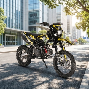 Motocicleta Todoterreno de 110cc, 4 Tiempos, 125cc, Motocross de Gasolina, <span class=keywords><strong>250cc</strong></span>, <span class=keywords><strong>Pit</strong></span> <span class=keywords><strong>Bike</strong></span> de 150cc de Alta Calidad - Product Image 4