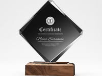 Trophées en cristal K9 personnalisés avec logo, forme irrégulière, sablés, écologiques, avec base en bois gravée, pour décorations d'hôtel - Vente chaude