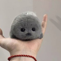 Porte-clés en peluche mignon de phoque de dessin animé, peluche moelleuse, jouet animal marin, accessoire de sac, pendentif, jouets en peluche pour machine à griffes