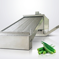 Nauwkeurige temperatuurregeling roestvrijstalen automatische okra-meshband hetelucht droger groentedroogmachine 220V/380V