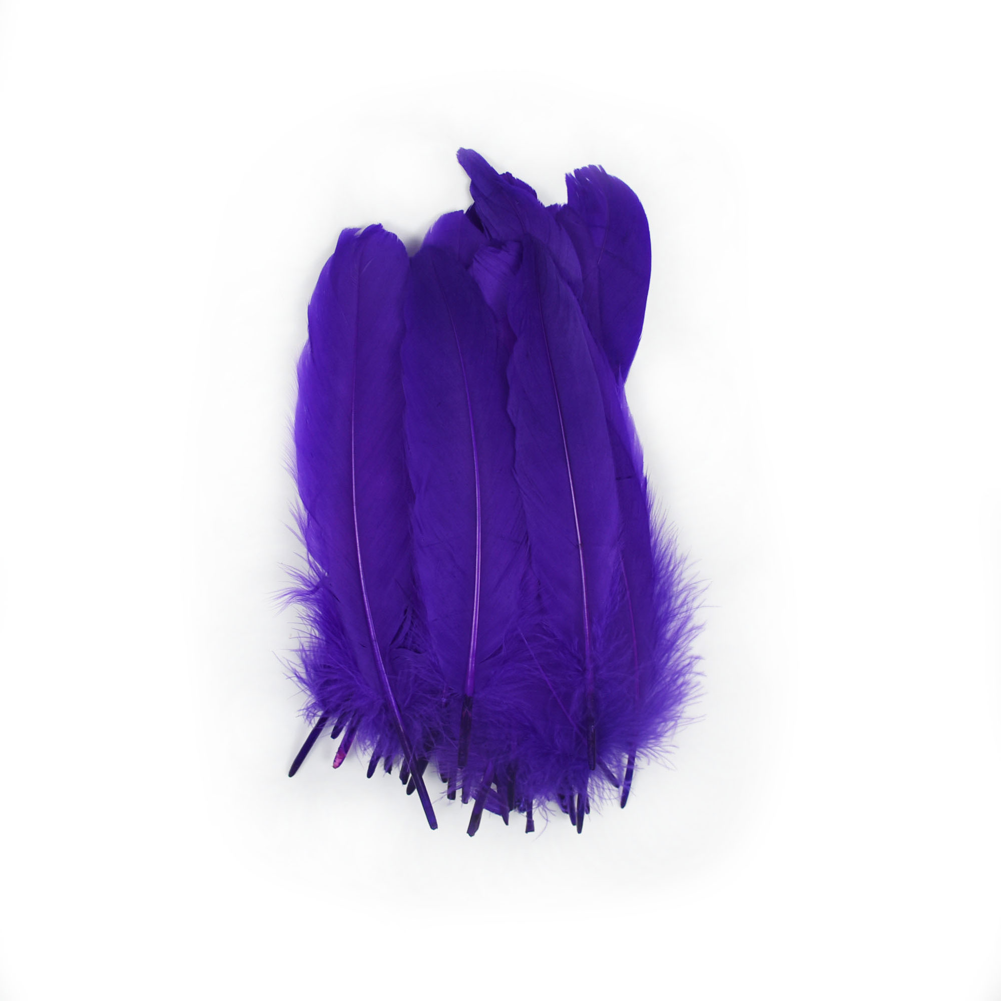 Pourpre