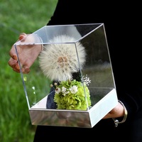 Geconserveerd paardenbloementerrarium in acryl doos - Eeuwige wens bloemendecoratie