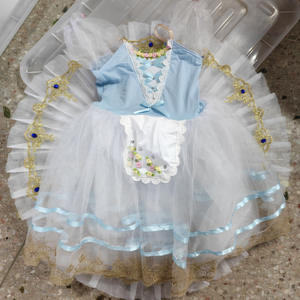 Vestido de Danza Ballet para Niñas 2025 con Encaje y Borde Dorado, Traje de Tutú para Actuación de Ballet, Ropa de Competición para Niñas - Product Image 6