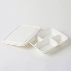 Assiettes multi-compartiments en canne à sucre biodégradables et compostables à 100 %, résistantes, pour la restauration scolaire - Product Image 3