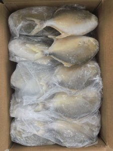 <span class=keywords><strong>Poisson</strong></span> Pompano Doré Congelé, Pomfret Doré Congelé IQF 300-400g 400-500g, Fruits de Mer d'Élevage en Gros pour l'Europe - Product Image 3