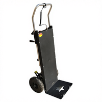 Machine à monter les charges électrique de 400 kg de capacité avec moteur en acier et roues en caoutchouc pour le transport de matériaux sur les chantiers de construction