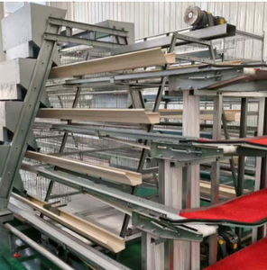 กรงไก่เชิงพาณิชย์แบบใช้แบตเตอรี่อัตโนมัติก<span class=keywords><strong>ร</strong></span>งไก่สำหรับฟา<span class=keywords><strong>ร</strong></span>์มผลิตไข่แบบ<span class=keywords><strong>แอ</strong></span><span class=keywords><strong>ฟ</strong></span><span class=keywords><strong>ริ</strong></span><span class=keywords><strong>กัน</strong></span> - Product Image 1