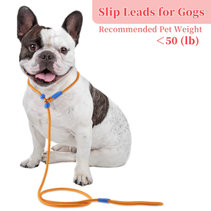 Factory Adjustable Dog Leash Heavy Duty No Pull Dog Leash <b>Nylon</b> Custom Dog Rope Training Leash Wholesale <b>Slip</b> Lead Dog Leash - Product Image 2