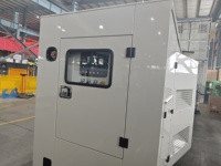 Générateur diesel silencieux efficace de 60 kW, 220 V, 50 Hz, économie de carburant, faible bruit, pour l'agriculture, l'irrigation des fermes