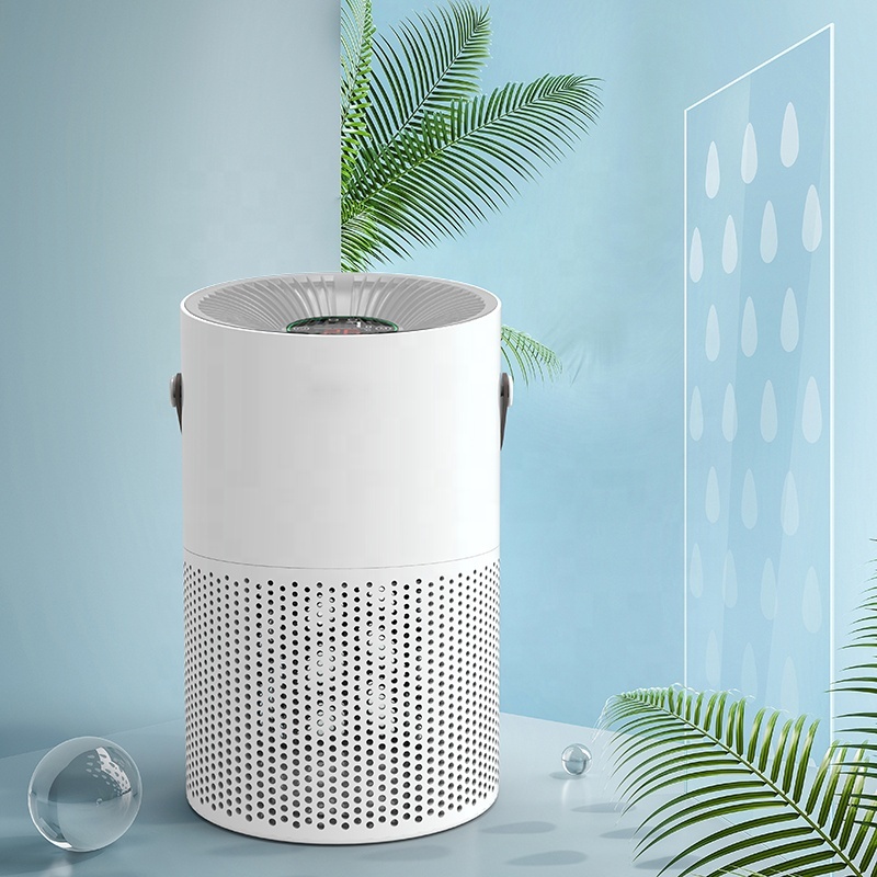 Portable Ultrasonic Air Purifier Purifying PM2